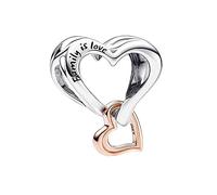 Annmors Ciondolo Argento Sterling 925 Charm Bead Compatibile Bracciale e Collane Europei Family is Love Perline zirconi 5A Natale,San Valentino,festa della mamma,ciondoli regalo per donne e ragazze