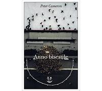 Anno bisestile