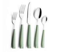 ANNOVA Set di posate, set di posate con manico colorato in acciaio inossidabile, include coltelli da tavola, forchette, cucchiai, forchette da insalata e cucchiai da dessert (Sage Green, 20 Pieces)