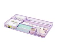 Annova Vassoio organizer per cassetti da scrivania, per organizzare l'ufficio, rete metallica, accessori e forniture per ufficio (Light Purple)