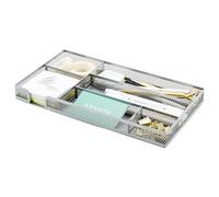 Annova Vassoio organizer per cassetti da scrivania, per organizzare l'ufficio, rete metallica, accessori e forniture per ufficio (Silver)