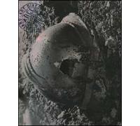 Annual Art directors club italiano (2007). Ediz. illustrata. Vol. 22