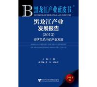 ANNUAL REPORT ON DEVELOPMENT OF HEILONGJIANG INDUSTRY (2013) (Chinese Edition)