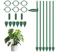ANOMM 21 Pezzi Kit di Supporto per Piante, Bastoncini di Supporto da Interno, Include Presa a Pavimento, Tubo di Collegamento, Asta e Clip di Fissaggio, Adatto per Orchidee, Monstera Deliciosa, Rose