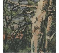 Anomoanon - Asleep Many Years In The Wood