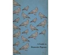 Anon. A Guide to Domestic Pigeons - With Chapters on Doves, Training (Tascabile)