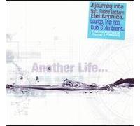 Another Life: A Journey Into Ethnic Electronica