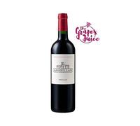 ANSEILLAN 2019 VINO ROSSO PAUILLAC AOC BARONS DE ROTHSCHILD BORDEAUX FRANCIA