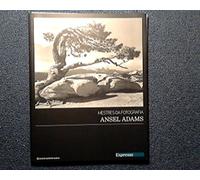 Ansel Adams (Em Portuguese do Brasil)