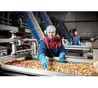 ANSELL VERSATOUCH 37-210 Guanto SZ 10 (XL)