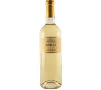 Anselmi San Vincenzo 2025 Magnum