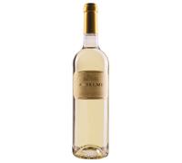 San Vincenzo Bianco Veneto 2019 Cl 75 Anselmi