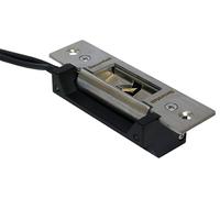 Ansi Mortasa Elettrico Porta Rilascio 12V/24V Dc, Bloccato / Monitorato AL900M