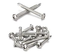 ANSIEDIO Viti Autoperforanti per Metallo, Viti per Lamiera, Viti a Testa Tonda a Phillips in Acciaio Inossidabile, M3.9×25mm,20 pcs