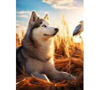 ANSIWEIGO Dipingere con i numeri per adulti e principianti, con pennello, colori acrilici, kit grande per principianti, tela senza cornice, per regali e decorazioni per la casa, cani e uccelli