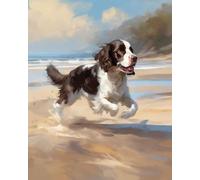 ANSIWEIGO Dipingere con i numeri, per adulti, Springer Spaniel sulla spiaggia, kit fai da te per pittura a olio per adulti con pennelli, pittura da disegno, 40 x 50 cm, senza cornice