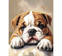 ANSIWEIGO Dipingere con i numeri per bambini,cane bulldog,dipingere con i numeri per adulti,kit di pittura con i numeri per adulti come regalo e decorazione per la casa,40x50 cm,con cornice