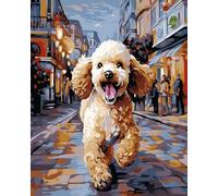 ANSIWEIGO Dipinto a tema cane da compagnia con i numeri,barboncino che corre,dipinto con i numeri per regalo,decorazione da parete per la casa,40x50 cm