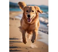 ANSIWEIGO Golden Retriever - Dipingere con i numeri, per adulti e principianti, con pennello, colori acrilici, kit per principianti, tela senza cornice, per regali e decorazioni per la casa