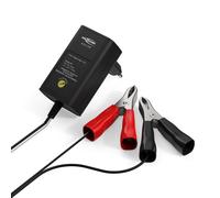 ANSMANN ALCS 2-12/0.4 - Caricatore per Batteria Auto Scooter Motocicletta Batter