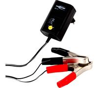Ansmann ALCS2-12 0.4 1001-0015 Caricatore a spina 6 V, 2 V, 12 V 0.4 A
