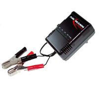 Ansmann Bleiakku-Ladegerät Alcs 2-24 A 2 V, 6 V,12 V,24 V Piombo-Gel, Piombo-Gel