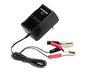 Ansmann Caricabatterie per Batterie Piombo 9164016/01 2V 6V 12V 24V 1pc(s)