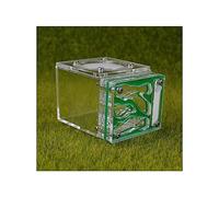 Ant Farm - Mini formiche a forma di cubo in acrilico, mini habitat per formiche, kit didattico 3D per labirinto per bambini, 7,7 x 6 x 5,3 cm, formiche vive e regina