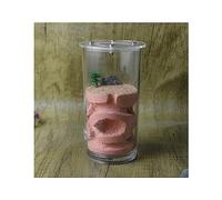 Ant Farm Mini rotondo formica nido fattoria tazza d'acqua acrilico trasparente piccola colonia area di alimentazione formica osservazione formica esperimento scientifico formicarium formiche vive e