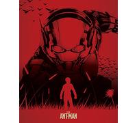 Ant-Man Silhouette 40 x 50 cm Stampe su Tela, Poliestere, Multicolore, 40x50x3.2 cm