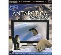 Antarctica Dreaming [HD DVD] [Edizione: Regno Unito]