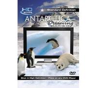 Antarctica Dreaming: Wildlife On Ice SD [2007] [Edizione: Regno Unito]