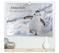 Antarktis, die eisige Heimat der Pinguine (hochwertiger Premium Wandkalender 2026 DIN A2 quer), Kunstdruck in Hochglanz: Ein kleiner Einblick in die ... eisige Natur am südlichen Ende der Welt.