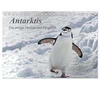 Antarktis, die eisige Heimat der Pinguine (Tischkalender 2026 DIN A5 quer), CALVENDO Monatskalender: Ein kleiner Einblick in die bezaubernde, eisige Natur am südlichen Ende der Welt.