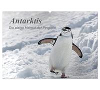 Antarktis, die eisige Heimat der Pinguine (Wandkalender 2026 DIN A2 quer), CALVENDO Monatskalender: Ein kleiner Einblick in die bezaubernde, eisige Natur am südlichen Ende der Welt.