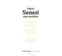 Ante meridiem