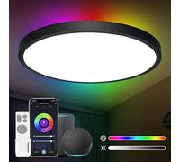 ANTENLICHT Lampada da soffitto LED Smart 24 W, compatibile con Alexa e Google Assistant Ø30 cm, controllabile tramite app con 16 milioni di colori fai da te,plafoniera WiFi con telecomando per camera