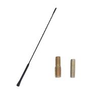 Antenna Auto Antenne per auto Antenna radio da tetto per auto universale, nera, lunghezza 6,5 cm, con viti, segnale migliorato, strumenti e accessori(16 inch)