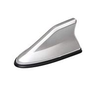 AYBEN Antenna Auto Pinna di Squalo, per Ford Focus 3 2011 2012 2013 2014 2015 2016 2017 2018 del Tetto Segnale Radio Antenne Impermeabile Car Antenna Styling Accessori,Silver