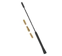 Antenna Corta in Radio e Gomma Nera Auto Alluminio