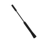 Antenna Corta Lega Alluminio per Auto Sostituzione Facile Ottima Ricezione Del Adatta Suv e Camion Design e Robusto Nera