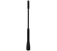 CORA Antenna HighTech 2 nera
