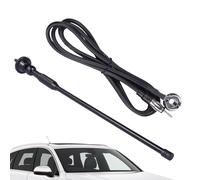 Antenna per auto - Antenna universale antiruggine AM FM | Parte integrata esterna resistente alle intemperie per berlina Pick-up viaggi all'aperto