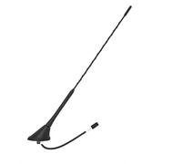 Antenna per Panda dal 2003 al 2011 autoradio stereo radio con cavo kit antenna