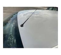 Antenna Telescopica Phonocar Da Tetto