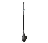 Antenna tetto universale Phonocar 08088