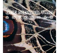Antennae by Joe Morris Trio (1997-11-18)