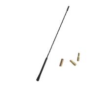 Antenne per auto Antenna amplificata per segnale FM/AM adatta per Opel Astra JHG Zafira Mokka adatta per Peugeot 206 307 406 407 207 208 308 Antenna Auto(16 inch)