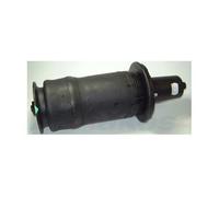 REB101740E for Range Rover P38 Anteriore Sospensioni Pneumatiche Primavera Borsa
