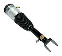 Anteriore Aria Sospensione Montante Shock SX/ Dx Adatto a Tesla Modello S 5YJS